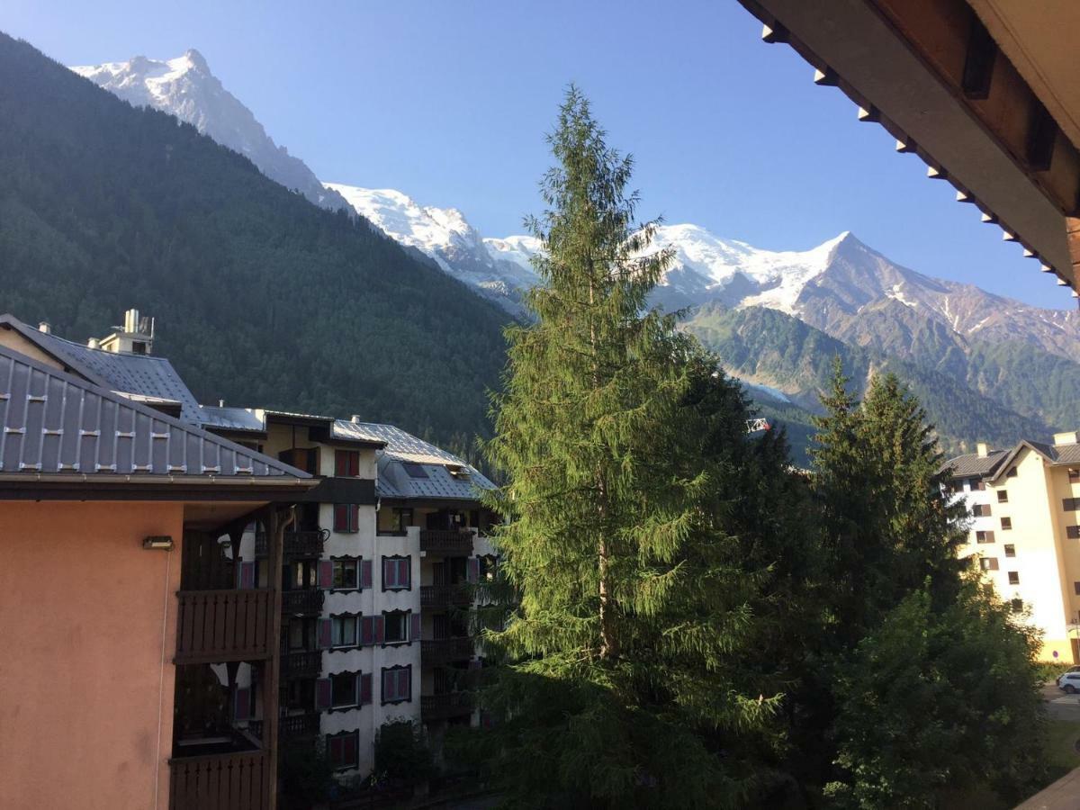 Studio Chamonix Centre With Mont-Blanc View Apartment Luaran gambar
